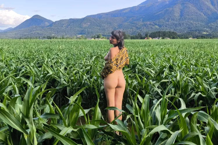 These curves are powered by plants 