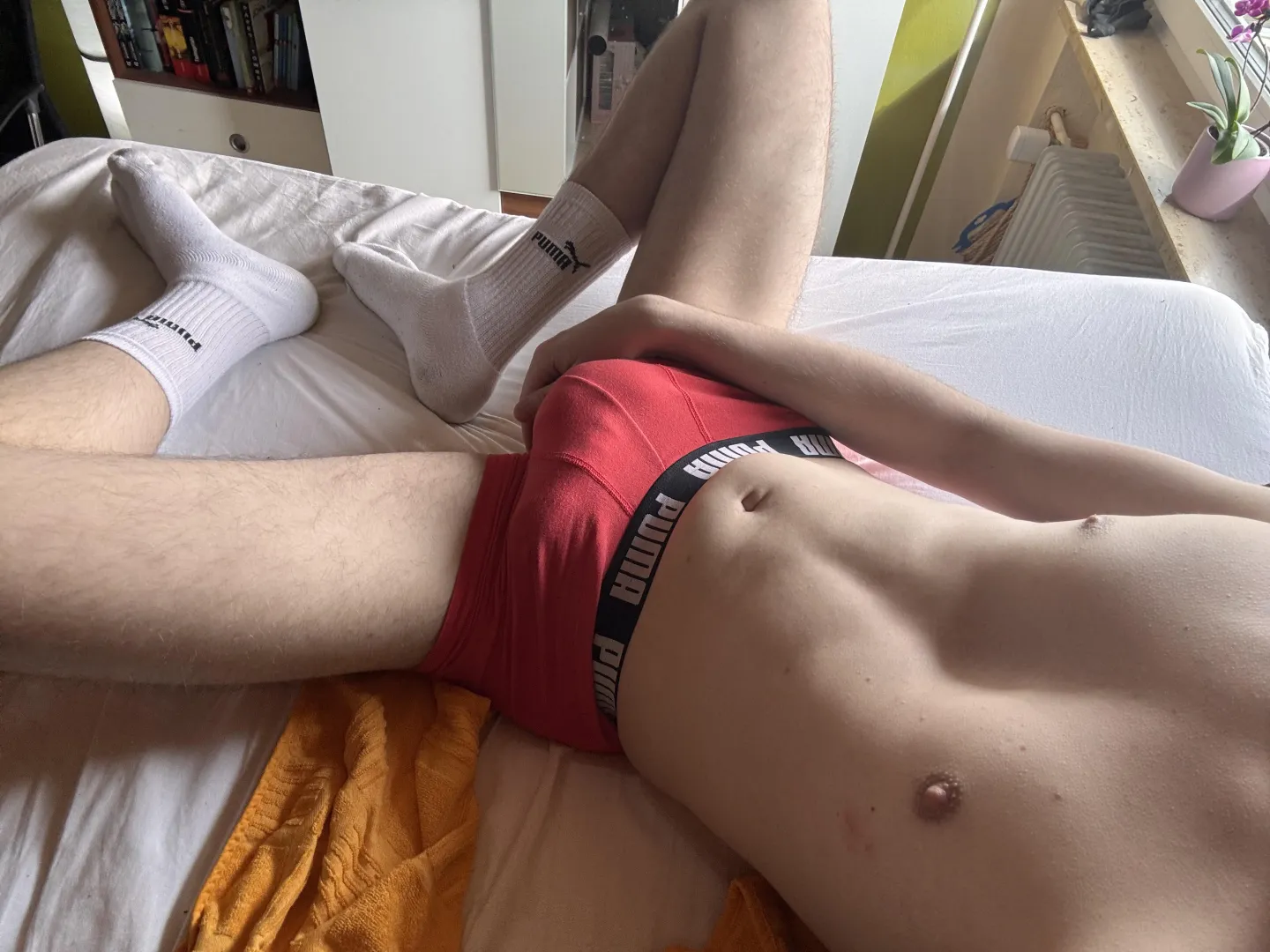 White pumas, red pumas and big bulge [25]