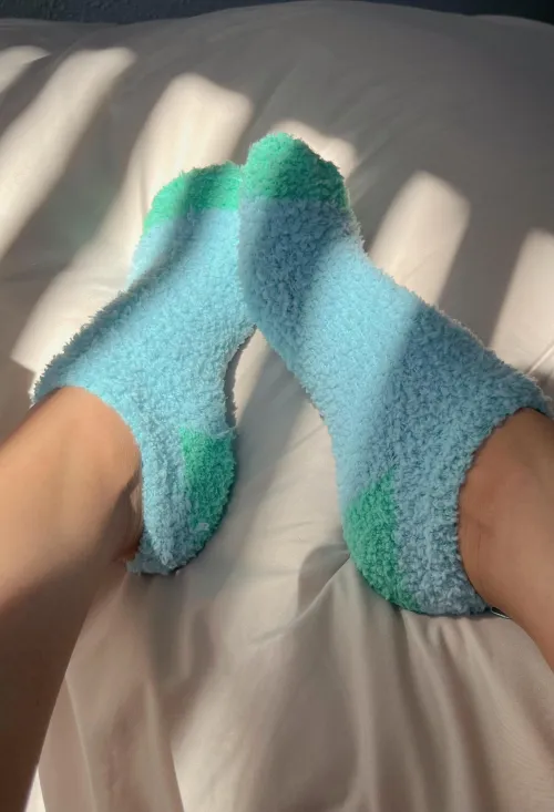 you love my socks huh