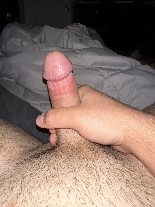 Any asu sluts down to hop on this dick [19M4F]