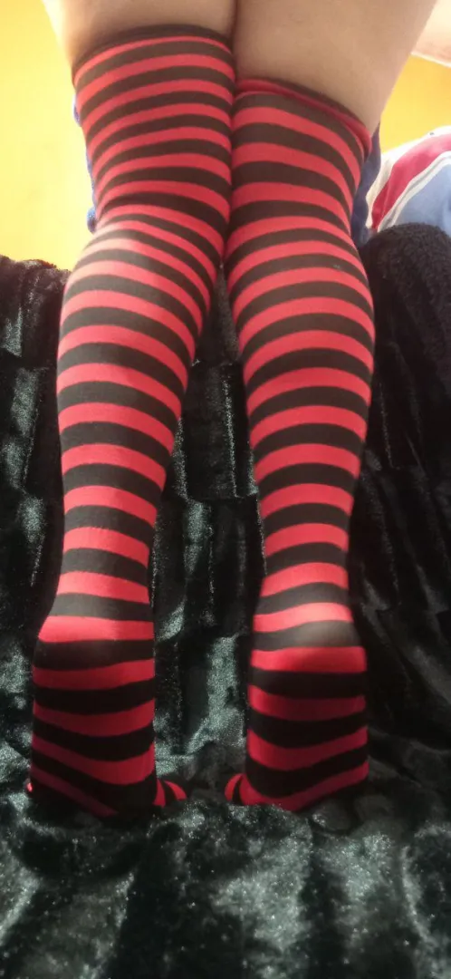 Do you like my stockings?