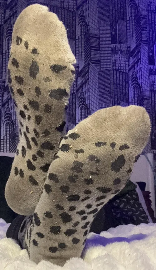 [F] Worn all day… still going straight for them?