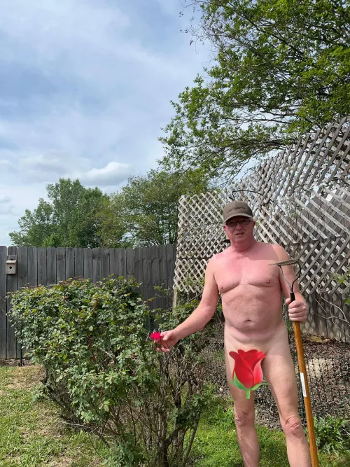 First rose of the year