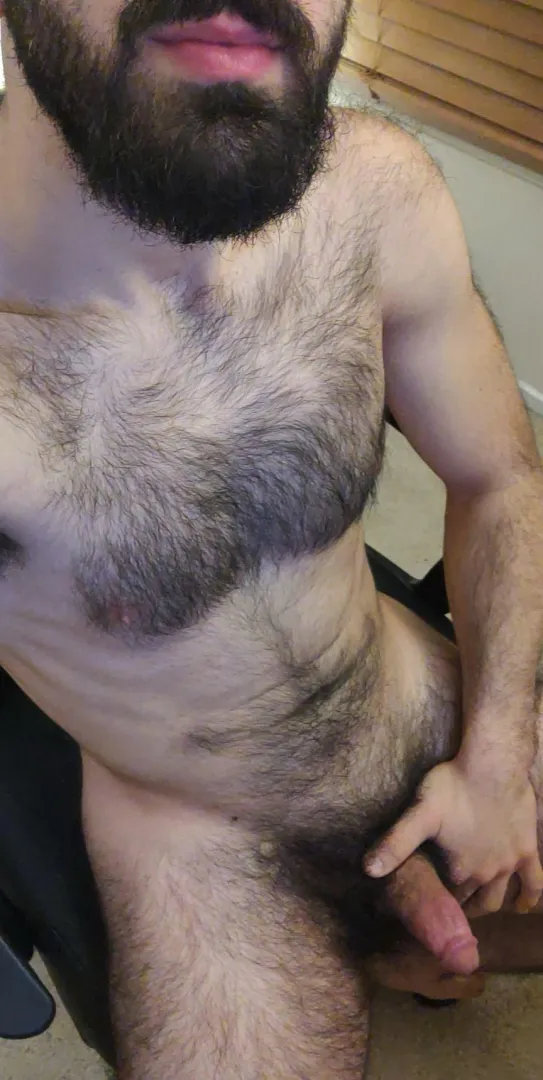 Hairyman (31)