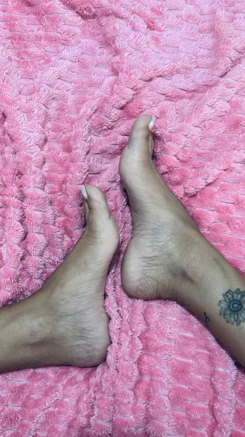 I have much more from where that came from