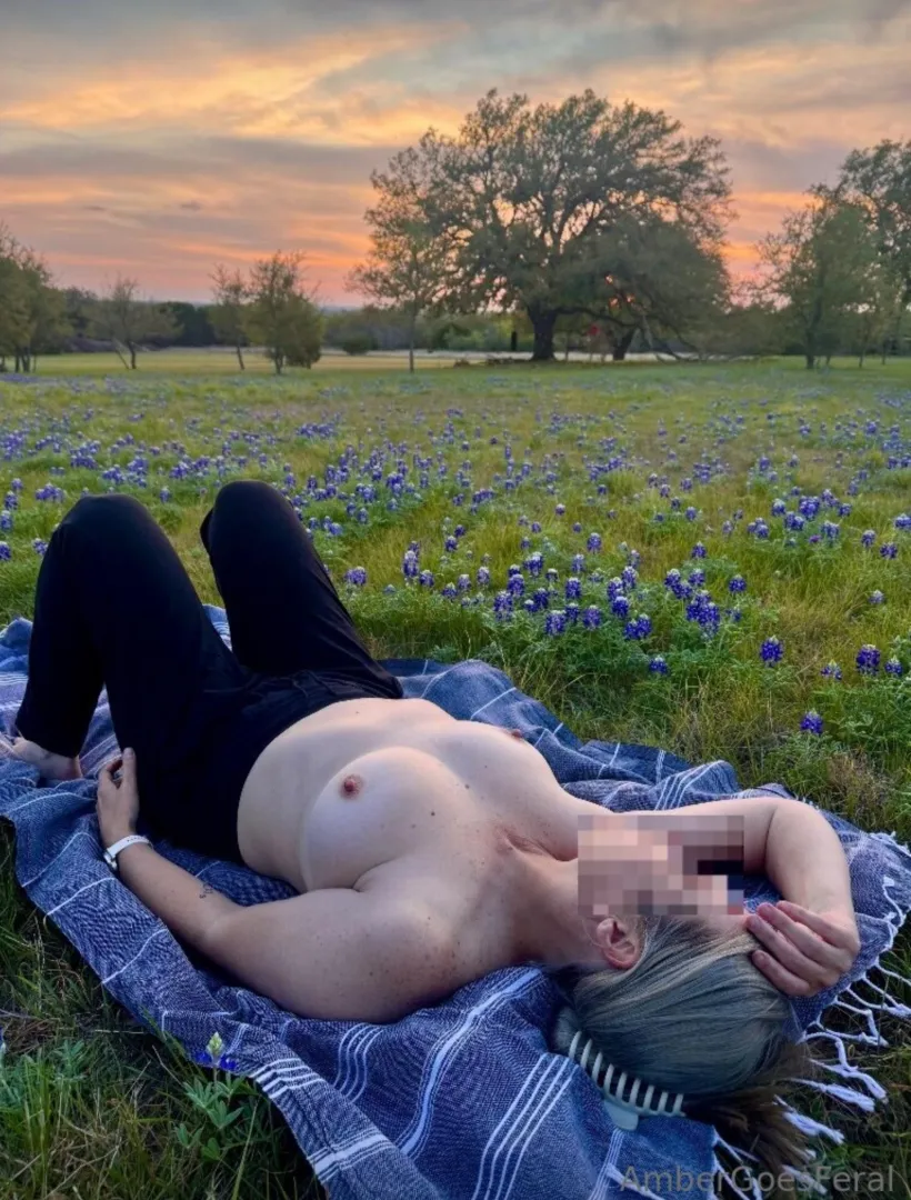 It’s finally the beginning of wild flower season in Texas. Love my field of Blue Bonnets