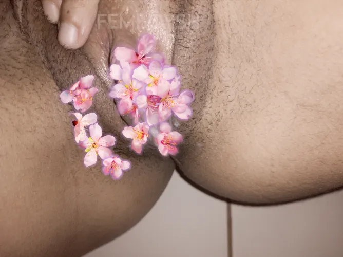 [OC] nature's censor 