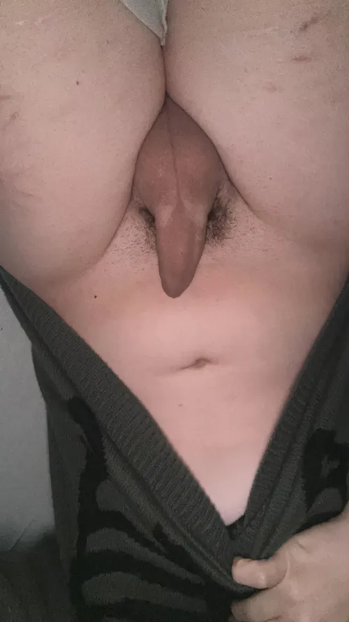 Occasional elli post :3