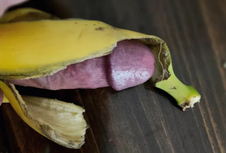 Ready for your evening snack? 