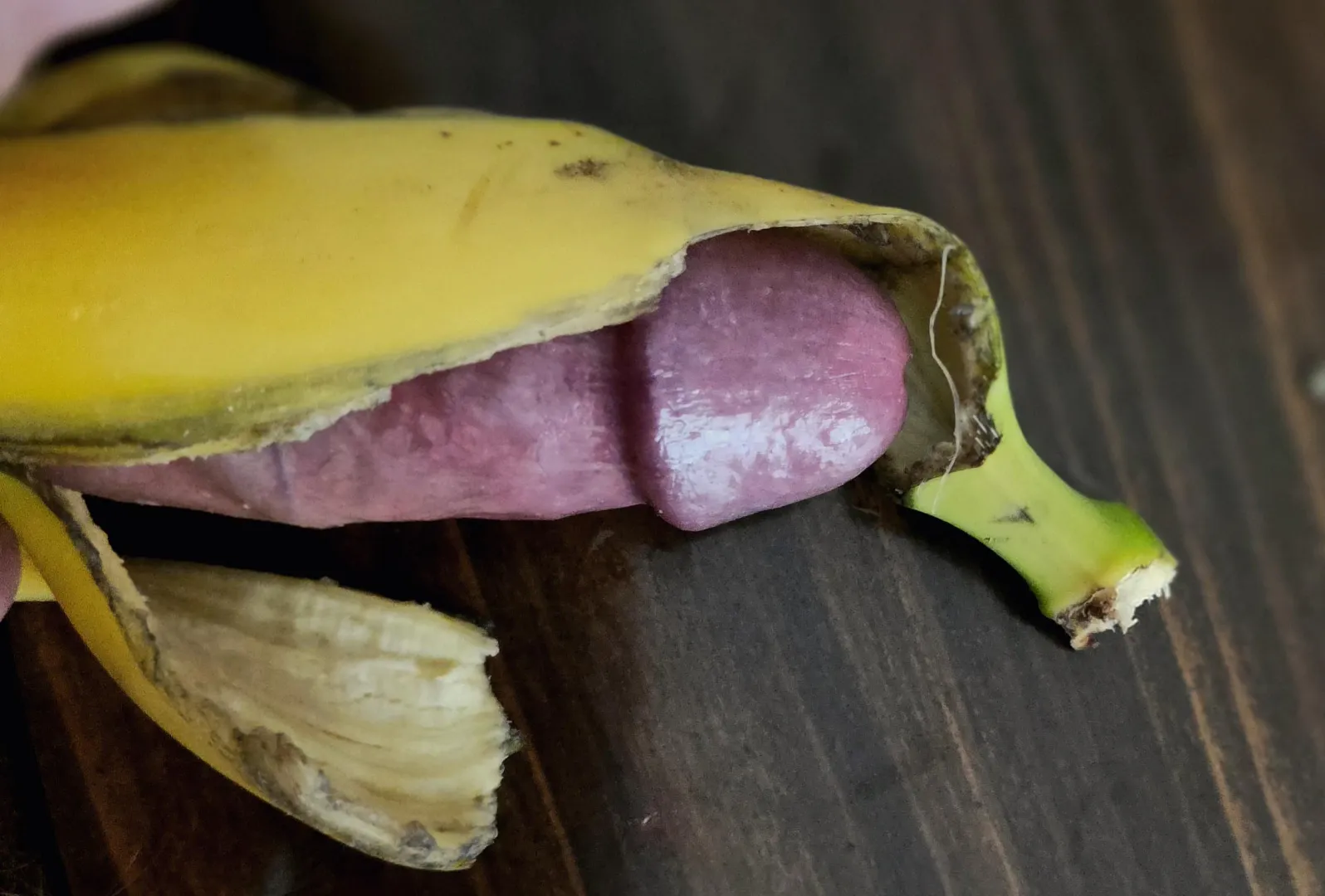 Ready for your evening snack? 