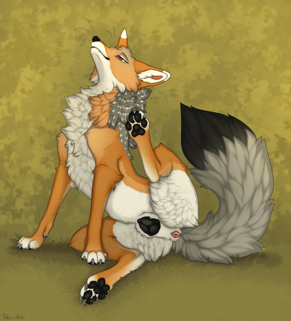 Scratching Jackal (a.o.kigahara_(artist)) [F]