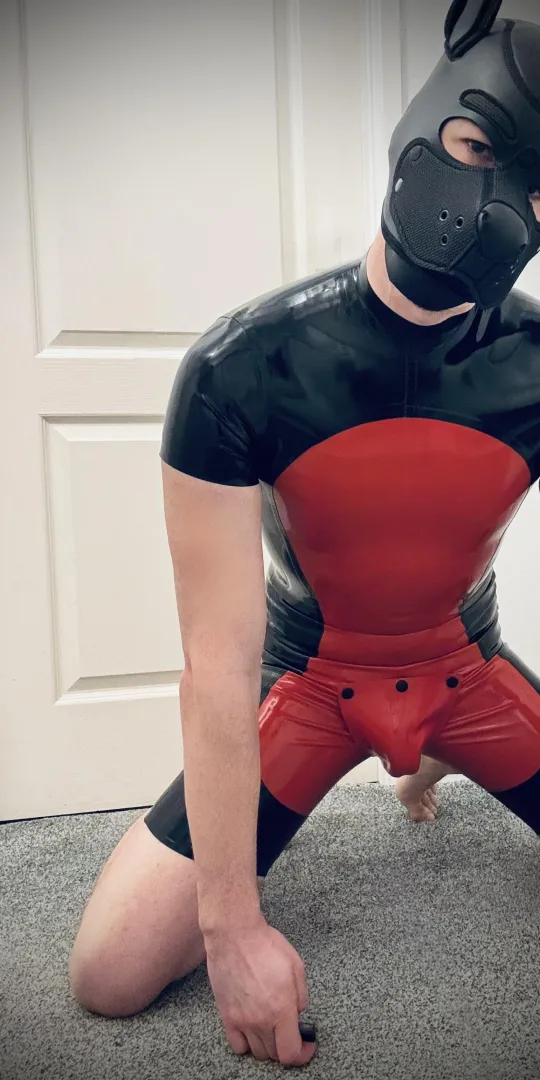 Shiny and ready for play 