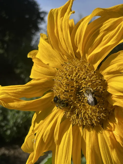 Took this photo on a field trip while i was still in school