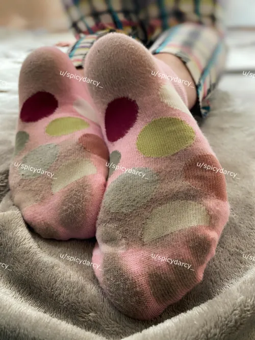 Who wants lunch? [selling] [USA only]