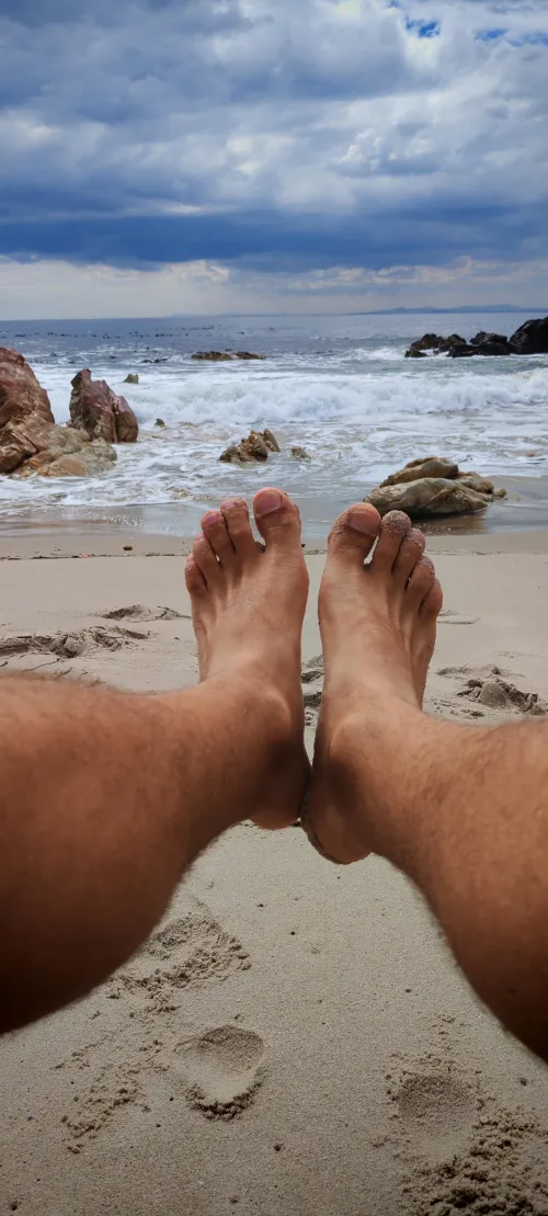 Will you shake the sand off me?