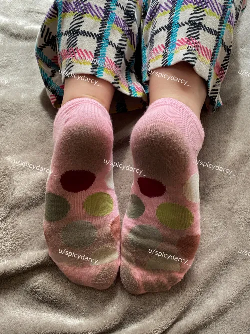 You want to lick my socks. Admit it. [F] [selling] [USA only]