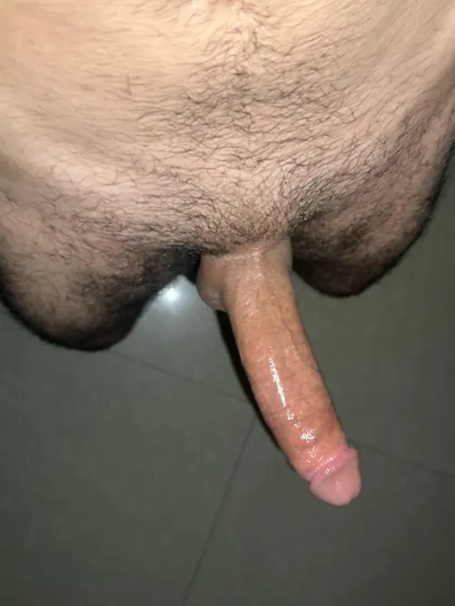 Arab Hairy Hung. Big enough for you ? 