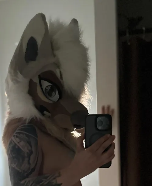 Bad dog on the counter again  [SageIsATrout]