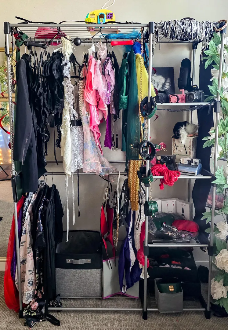 Just spent a hell of a lot of time cleaning all my toys and organizing them and loading them up into my drawer for sale. Made me realize how much I LOVE this organizer so I thought I would share!