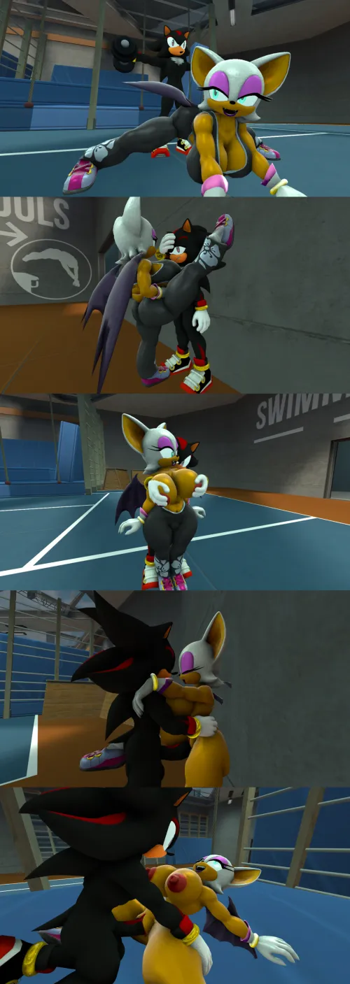 Shadow and Rouge fuck in the gym. (Galestar01)