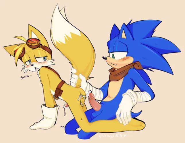 Sonic and Tails bonding (sweetmilk)