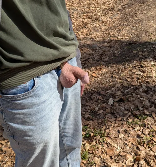 Springtime, also good for dicks