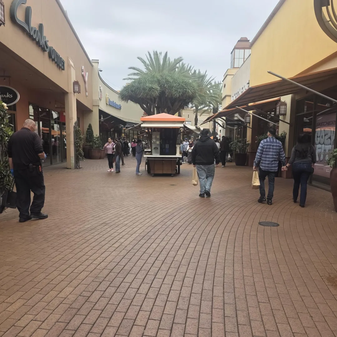 This shit smacking boys 