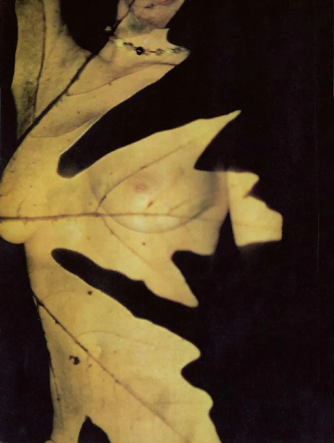 untitled by artist unknown - Vintage double exposure found in Hustler (December 1975)