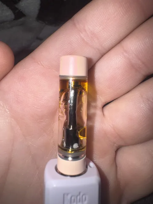 anyb know what brand this is?