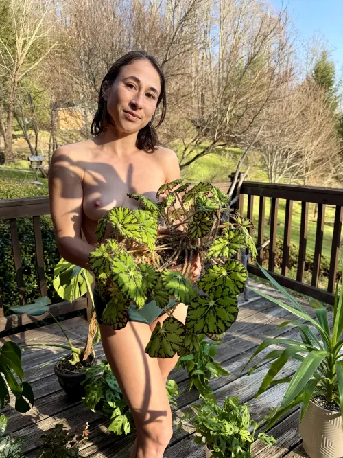 Bathing in the sunshine with my lovely plants!