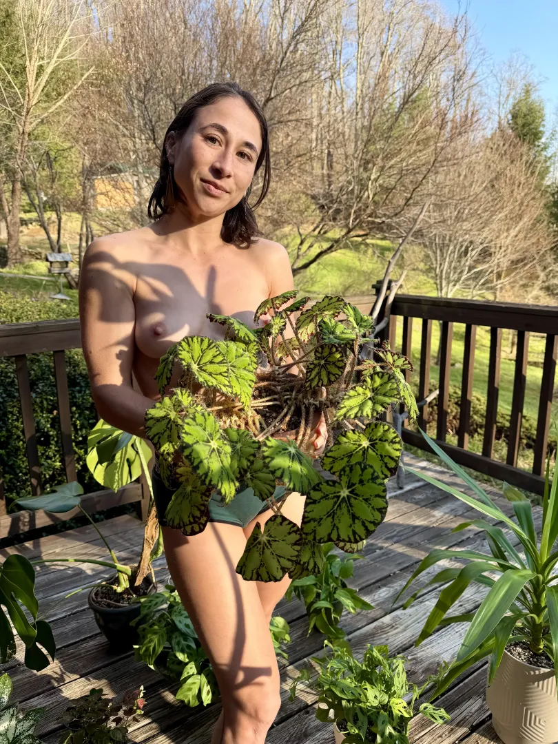 Bathing in the sunshine with my lovely plants!