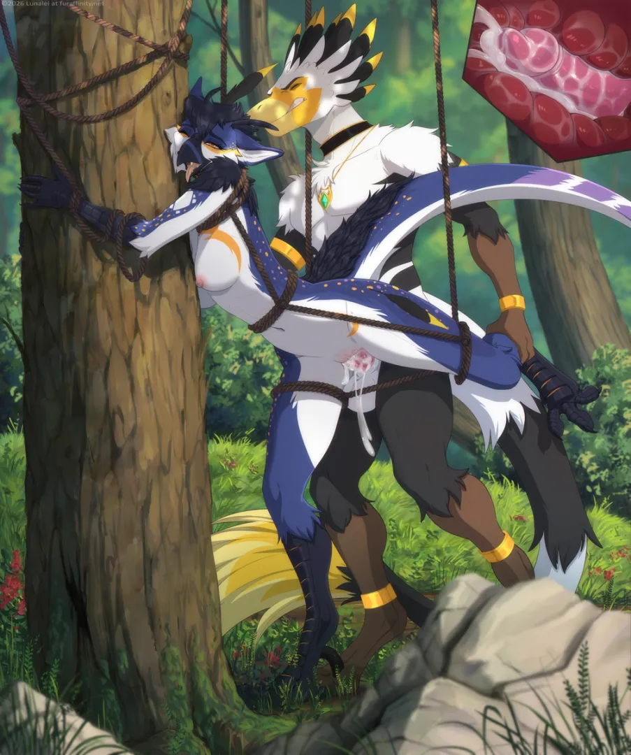 commission - balefirephoenix (lunalei) [MF]