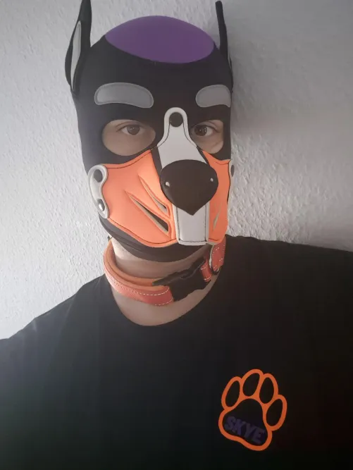 First time Posting, please be kind 