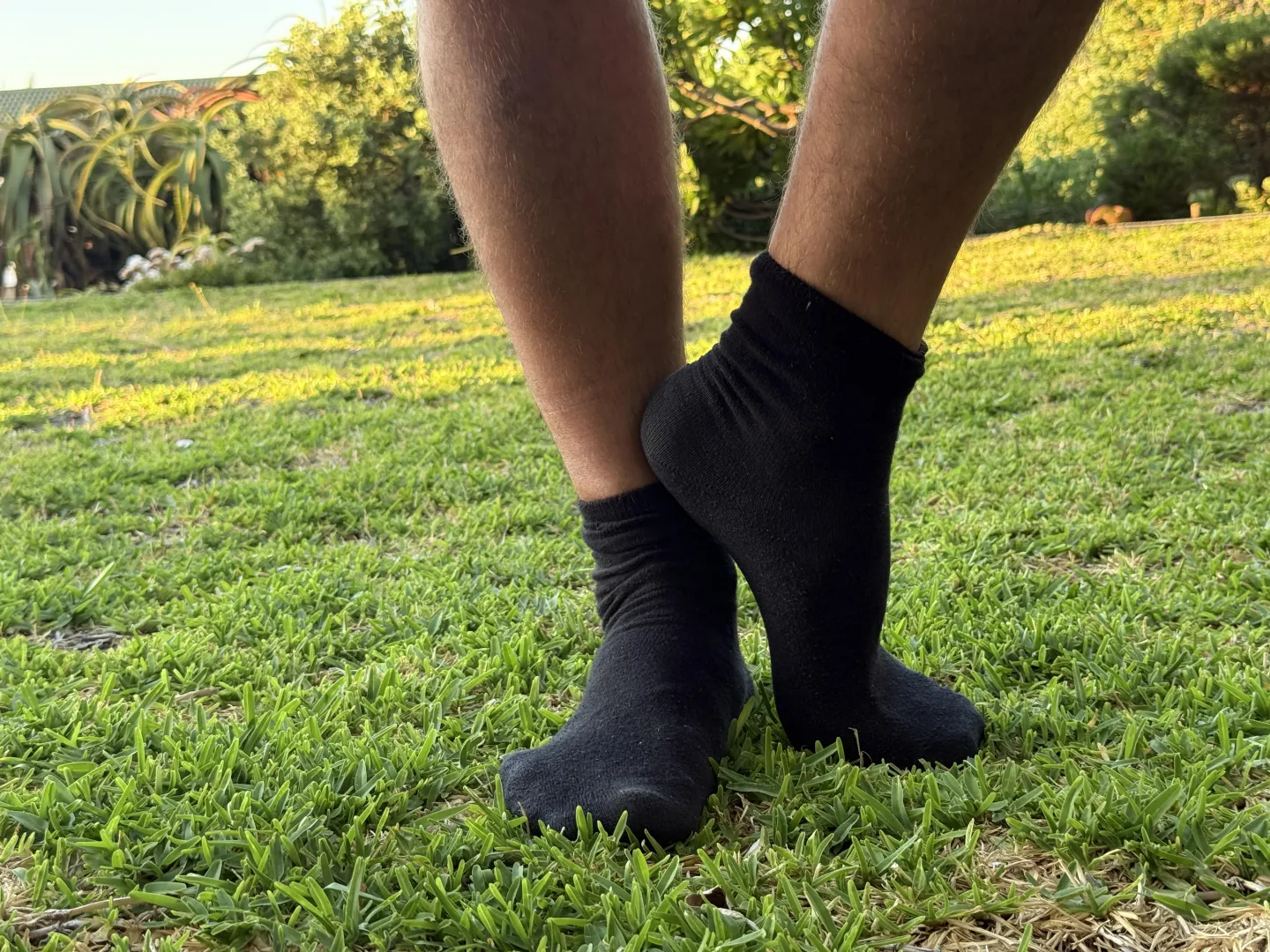 Fresh air outside, but the scent in these socks is getting intense. Want a sniff?