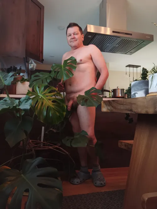 Friend taking back her (M)onstera.