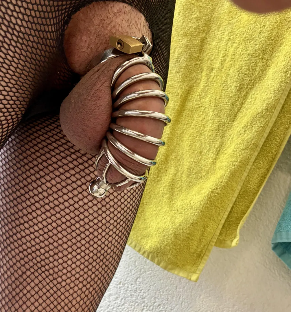 für jedes upvote träg ich min käfig ein tag ab jetzt