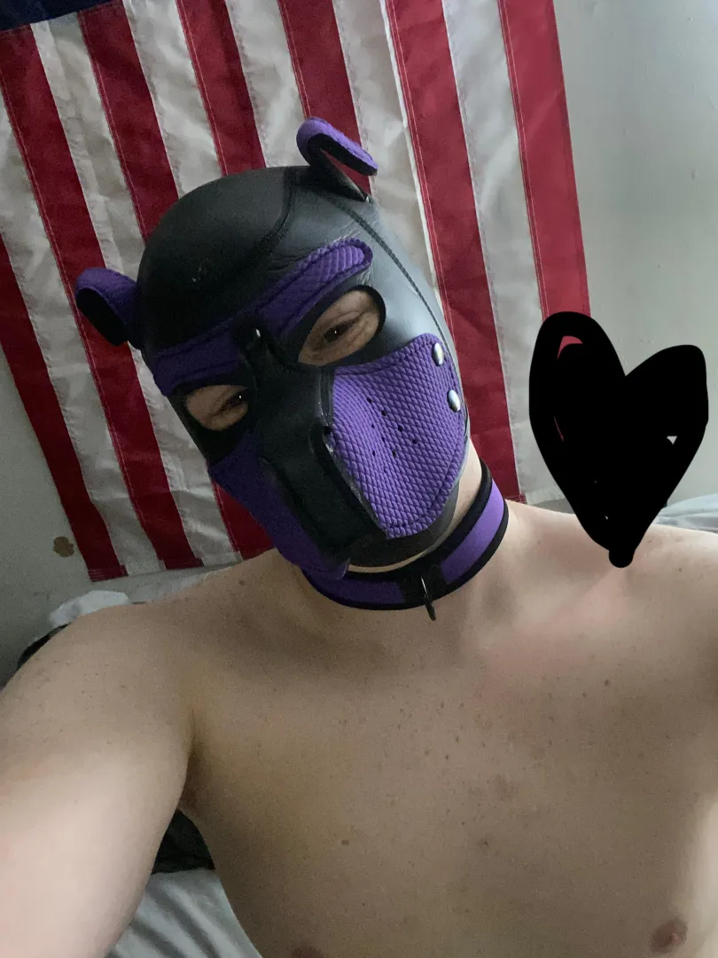 Heyo pup boy selfie