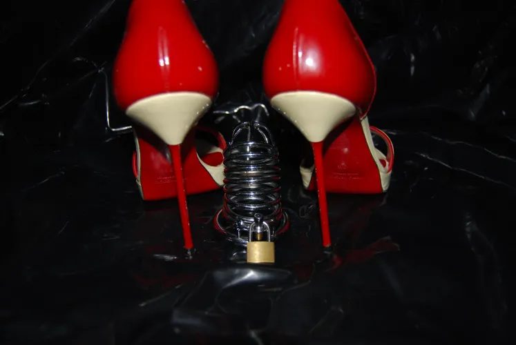 I hold the key, you......... you are the simp who can watch and suffer