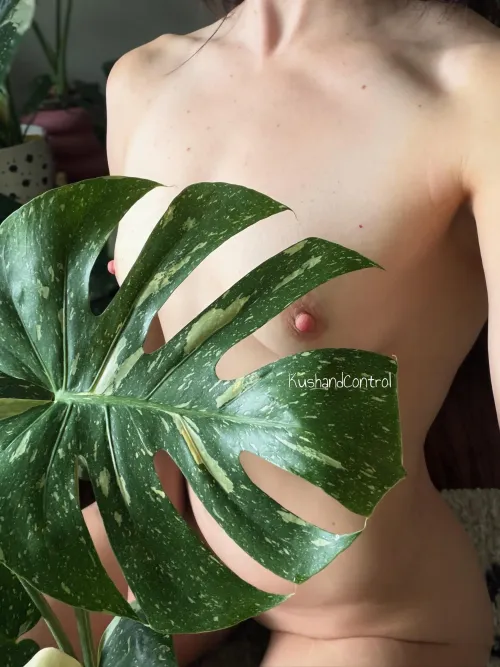 Just admiring the variegation 