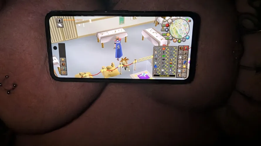 Late night at the museum 