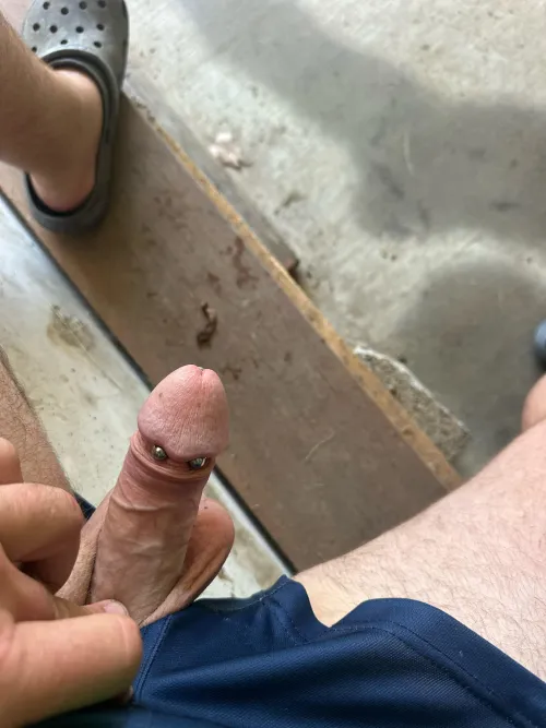 Liking the look of it