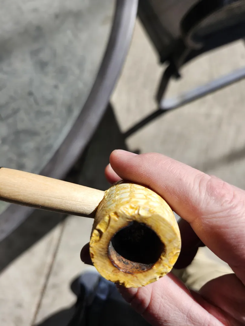 My friendly neighborhood squirrel decided to give my new Cobb a taste.