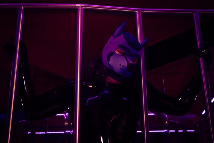 Oh no, puppy got caught, how can she escape the dungeon now?