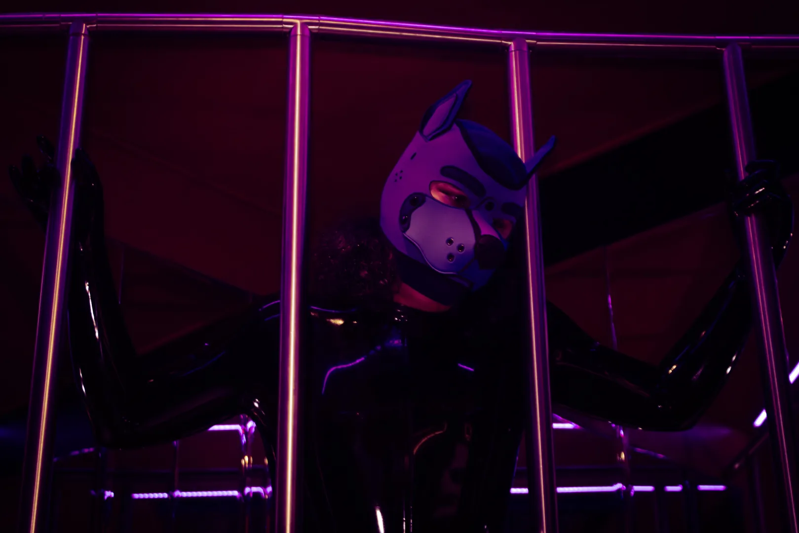 Oh no, puppy got caught, how can she escape the dungeon now?