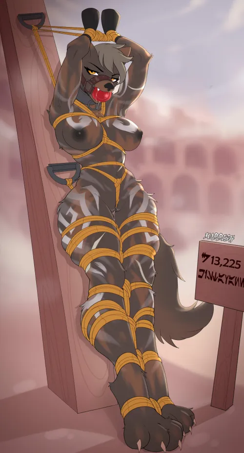 On Display (moddish) [F]