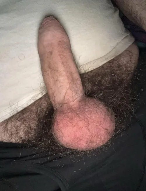 Rate my hairy cock and balls