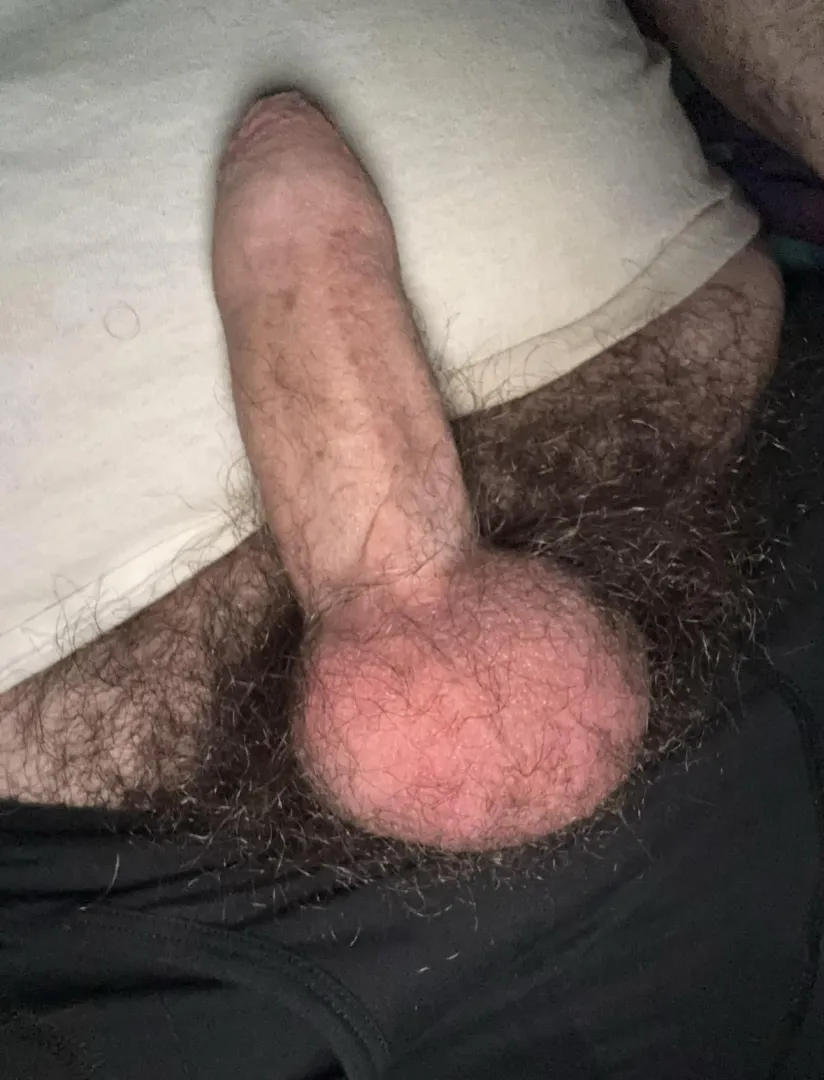 Rate my hairy cock and balls