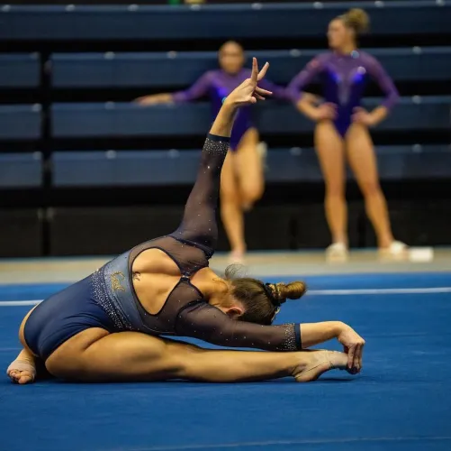 Solid, style and fluid