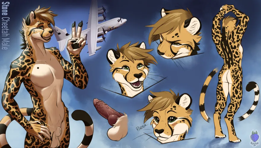 Stone Ref Sheet [M] (by_me_kaislair)