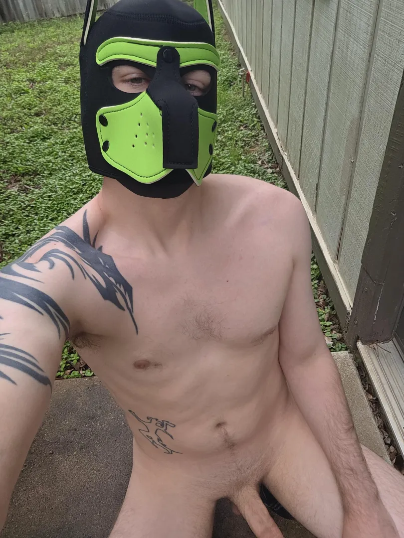 The rain is over, who wants to take this pup for some walkies??